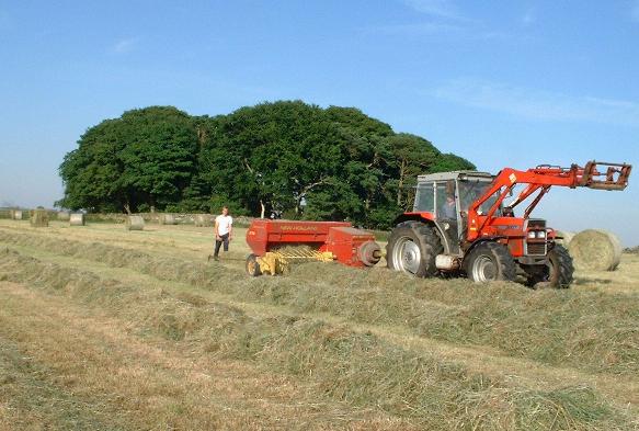 Northumberlandfarmhouse hak making