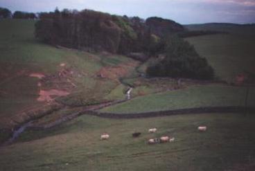 Northumberlandfarmhouse source of river Wansbeck